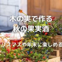 木の実で作る秋の果実酒はクリスマスや年末に楽しめる♪