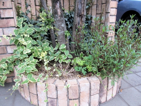 レンガ レイズベッドの花壇を自作する方法 高さのある花壇はメリットいっぱい お手軽diyで手作り 暮らしの手作り