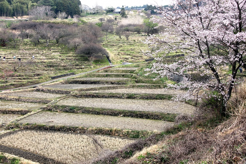 整地 地面を平らにならす方法と便利な道具 庭や菜園の下地作り 地表を綺麗に整えて足元を安定させる 暮らしの手作り