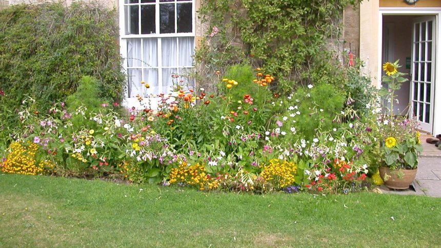 肥料 成分と植物の成長に応じた施肥の方法 暮らしの手作り