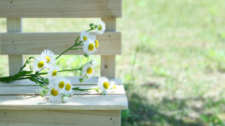 雑草の花も生かした美しい庭づくり Kimirin 暮らしの手作り