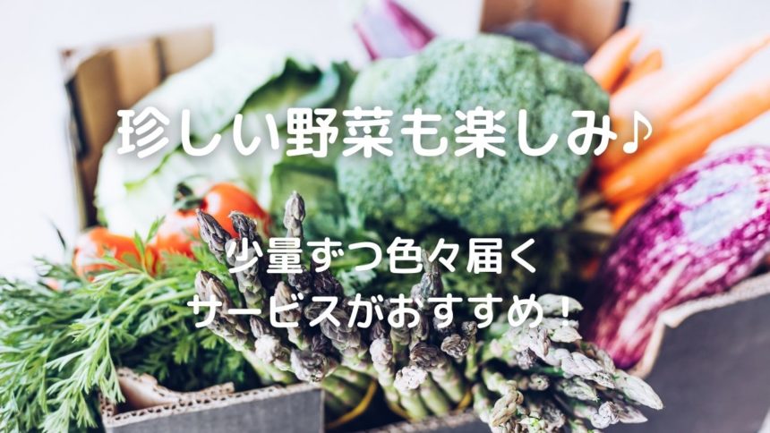 野菜 定期便が一人暮らしにはありがたい 珍しい野菜も楽しみ 少量ずつ色々届くサービスがおすすめ 暮らしの手作り