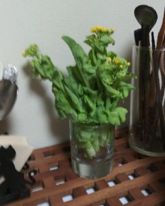 ベジLIFE!! キッチンの菜の花