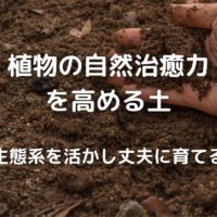 植物の自然治癒力 を高める土 生態系を活かし丈夫に育てる