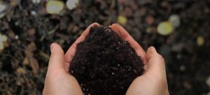 土作り 堆肥の種類による使い分けと作り方 堆肥と有機肥料の違い 堆肥は土壌改良剤で土壌生物のエサ 暮らしの手作り