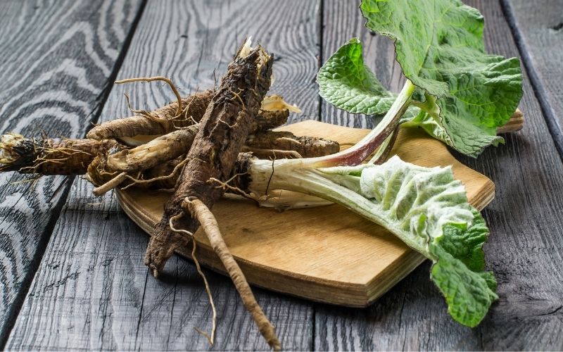 自然栽培 ニンジンとゴボウは一緒に植える 同時に育ててキンピラゴボウに 根菜は冬でも収穫できます 暮らしの手作り