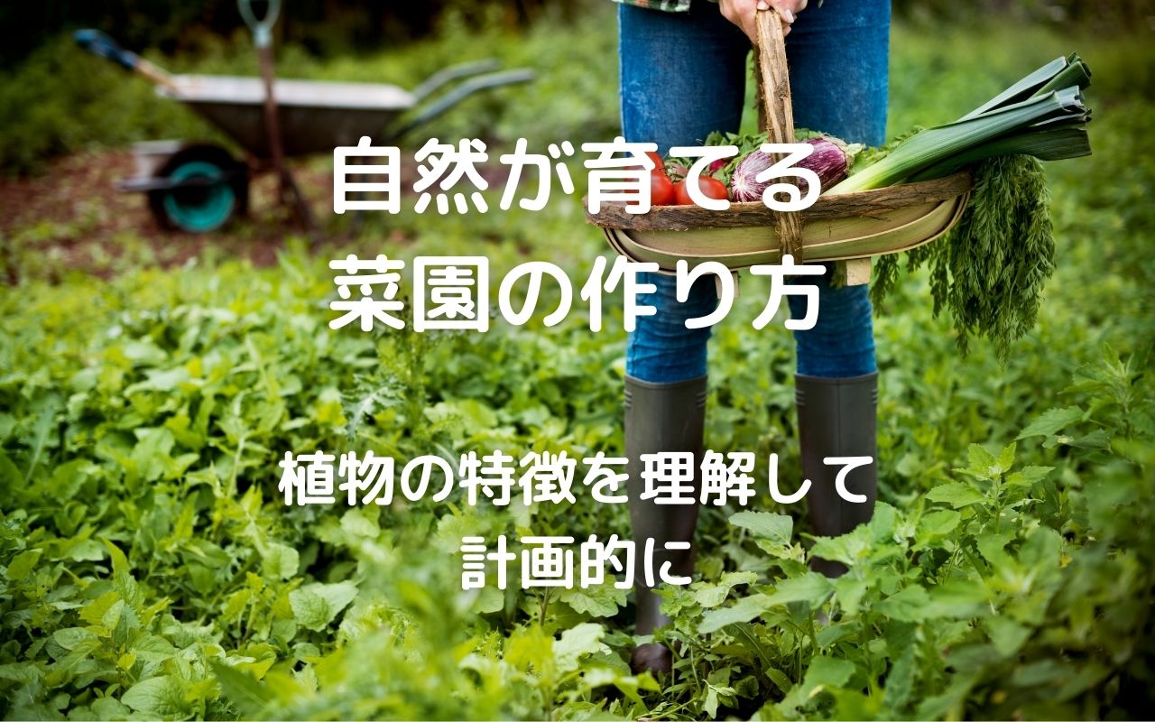 自然栽培 生物と植物が共生する土作り 自然が育てる菜園の作り方 植物の特徴を理解して計画的に 暮らしの手作り
