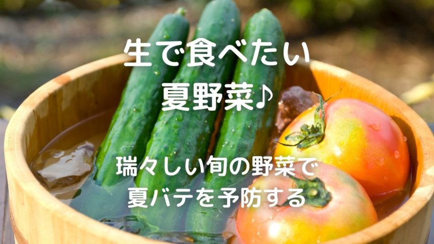 7月に食べチョクから届いた野菜と作った料理 生で食べたい夏野菜 瑞々しい旬の野菜で夏バテを予防する 暮らしの手作り