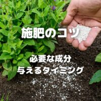 施肥のコツ 必要な成分 与えるタイミング