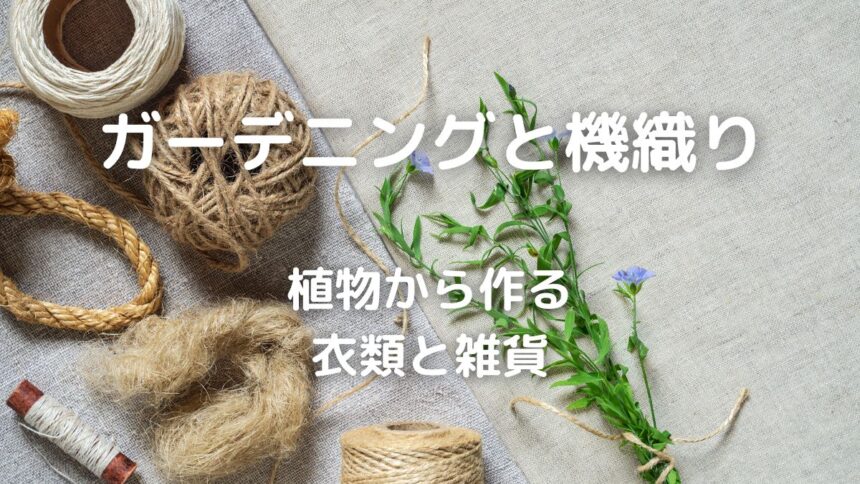 麻】繊維が採れる植物と糸に紡いで布を作る方法 - 暮らしの手づくり