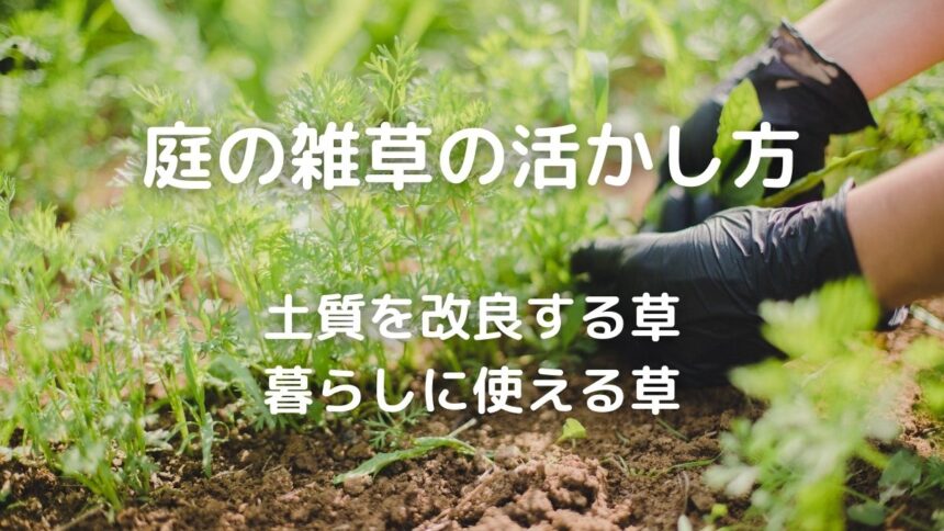雑草 草取りが楽しい 収穫 になる活用法 暮らしの手作り