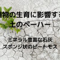 植物の生育に影響する 土のペーハー ミネラル豊富な石灰 スポンジ状のピートモス