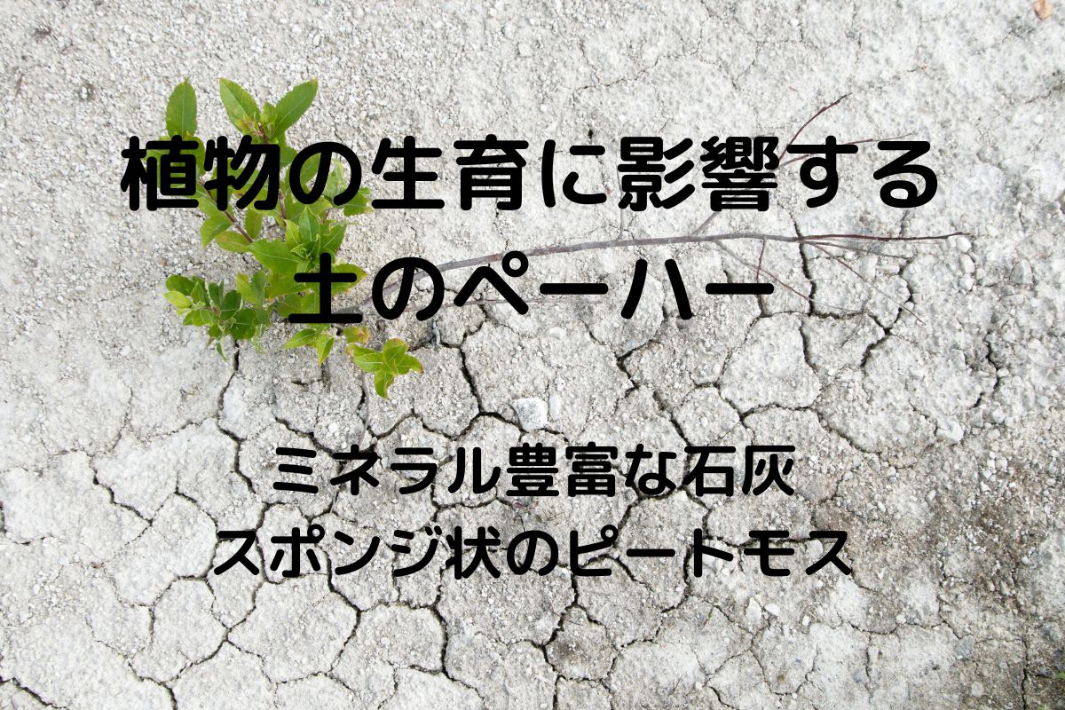 土壌のph】土を酸性・アルカリ性にするには - 暮らしの手づくり