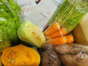 旬彩ファーム野菜セット