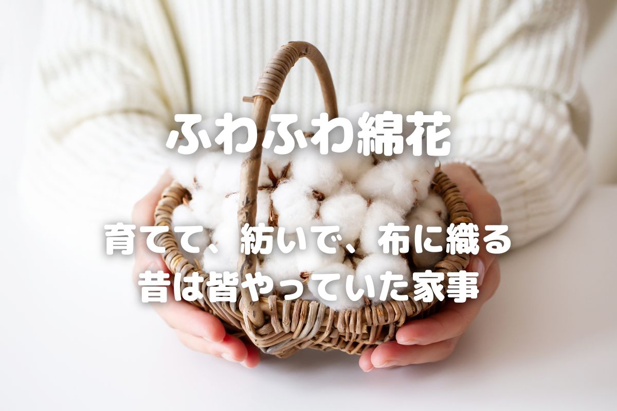 綿花】花を育てて糸を紡ぎコットン布を織る方法 - 暮らしの手づくり