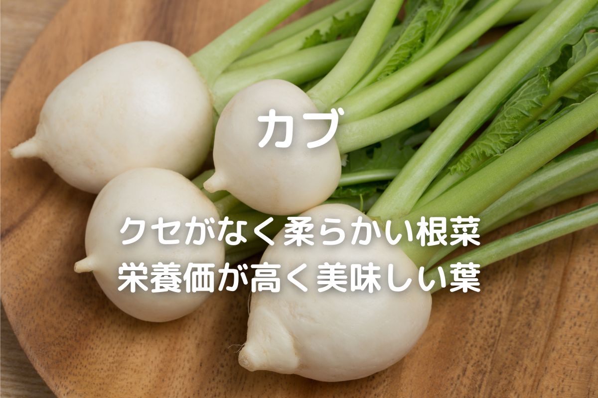 カブの料理】漬物・保存食・おかず簡単レシピ - 暮らしの手づくり