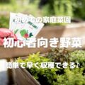 初めての家庭菜園 初心者向き野菜 簡単で早く収穫できる♪