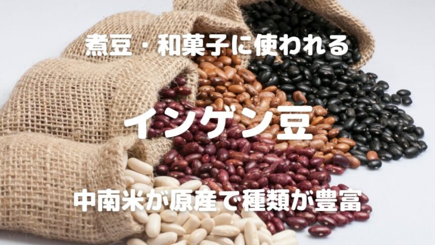 煮豆・和菓子に使われる インゲン豆 中南米が原産で種類が豊富