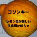 コリンキー レモン色が美しい 生食用かぼちゃ