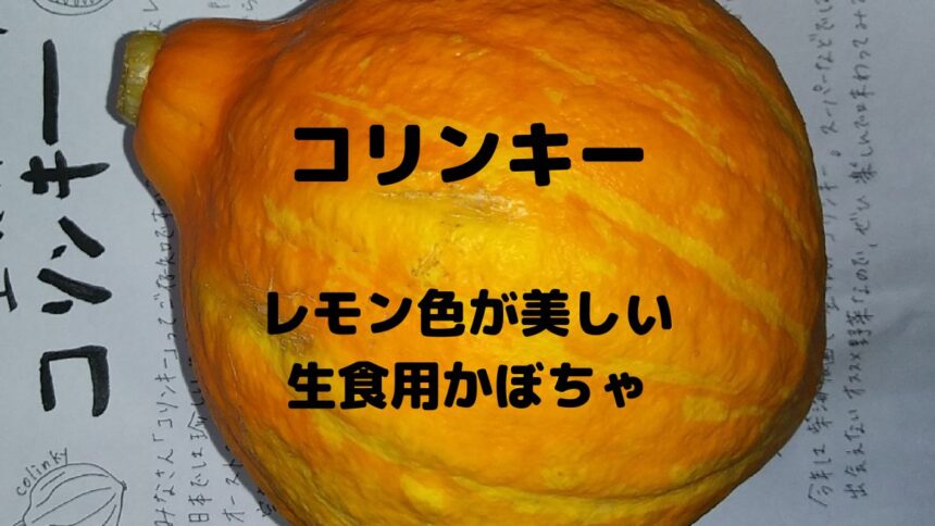 コリンキー レモン色が美しい 生食用かぼちゃ