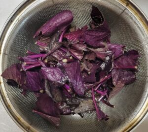 紫小松菜