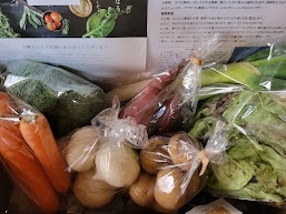 ベジLIFE!!　野菜セット