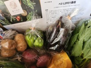 ベジLIFE　野菜セット