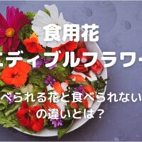 食用花 エディブルフラワー 食べられる花と食べられない花 の違いとは？