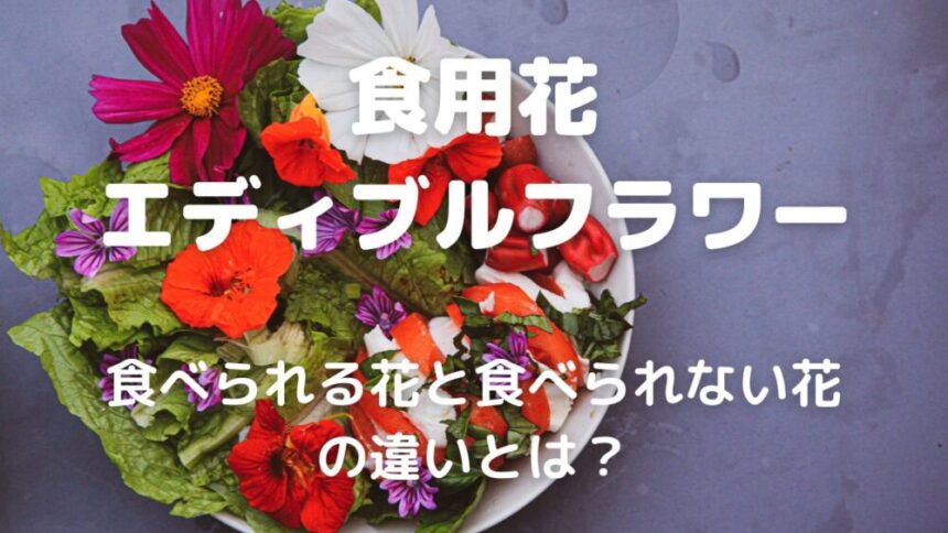 食用花 エディブルフラワー 食べられる花と食べられない花 の違いとは？