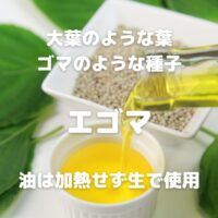 大葉のような葉 ゴマのような種子 エゴマ 油は加熱せず生で使用
