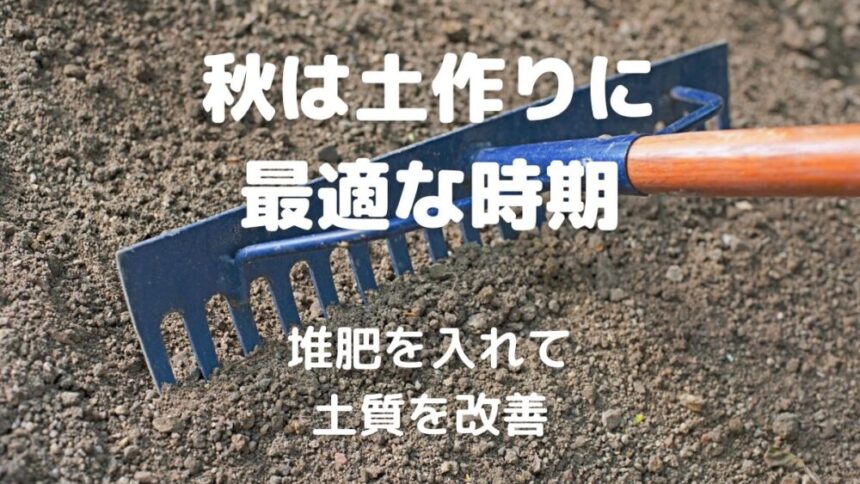 秋は土作りに 最適な時期 堆肥を入れて 土質を改善