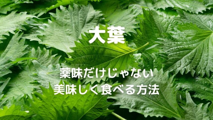 大葉 薬味だけじゃない 美味しく食べる方法