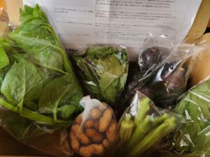野菜セット