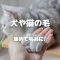 犬や猫の毛 集めて毛糸に♪