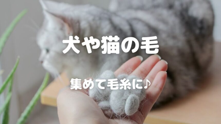 犬や猫の毛 集めて毛糸に♪