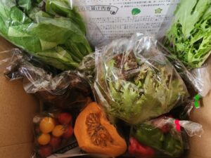 たべくら農園　野菜セット