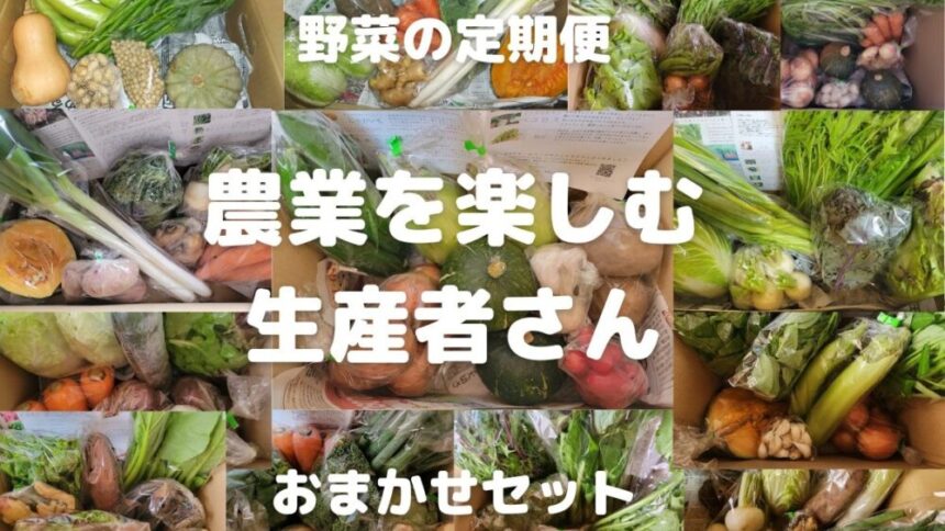 野菜の定期便 農業を楽しむ 生産者さん おまかせセット