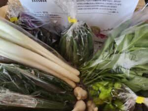 しゅん農園 野菜セット