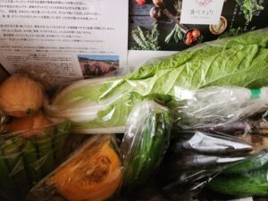 ベジLIFE野菜セット