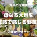 野菜の定期便 母なる大地を 五感で感じる野菜♪ おまかせセット