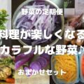 野菜の定期便 料理が楽しくなる カラフルな野菜♪ おまかせセット