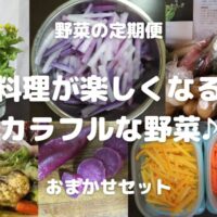 野菜の定期便 料理が楽しくなる カラフルな野菜♪ おまかせセット