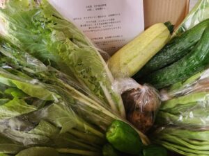 繁昌農園 野菜セット