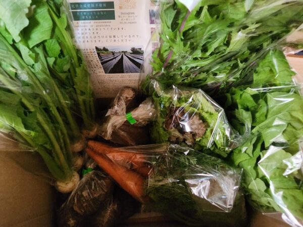 No-La 野菜セット