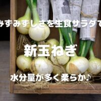 みずみずしさを生食サラダで 新玉ねぎ 水分量が多く柔らか♪