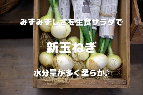 みずみずしさを生食サラダで 新玉ねぎ 水分量が多く柔らか♪