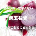 甘みがあって辛くない 紫玉ねぎ サラダの彩りにピッタリ