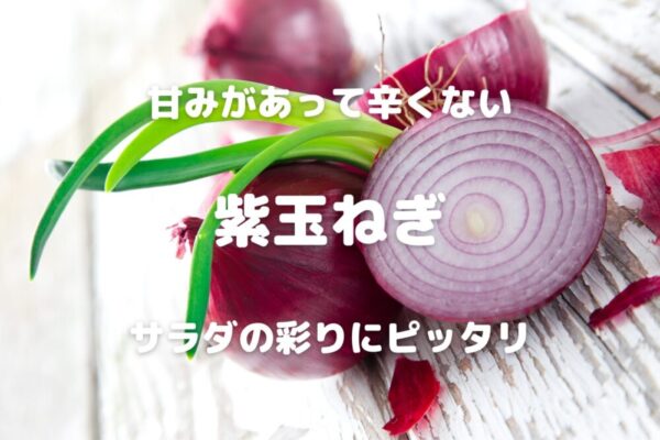 甘みがあって辛くない 紫玉ねぎ サラダの彩りにピッタリ