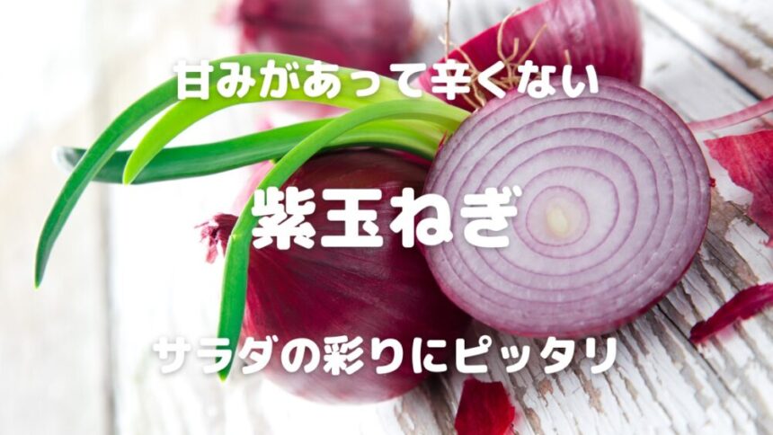 甘みがあって辛くない 紫玉ねぎ サラダの彩りにピッタリ