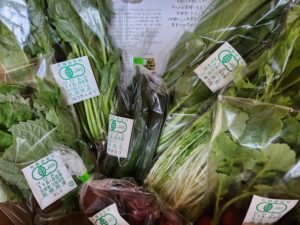 野菜セット　三島ファーム